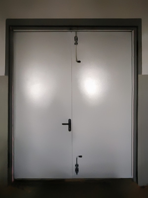 Двупольная дверь, фото изнутри (ул. Кантемировская, 59)