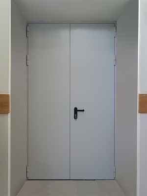 Двупольная дверь, фото снаружи (судебный участок № 304, ул. 15-я Парковая)