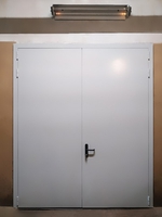 Двупольная дверь, фото снаружи (ул. Кантемировская, 59)