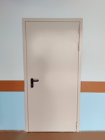 Однопольная дверь, вид спереди (школа, ул. Радужная)