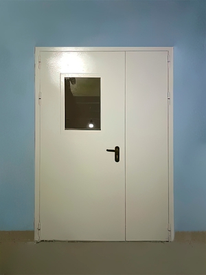 Полуторная дверь с остеклением (частное предприятие)