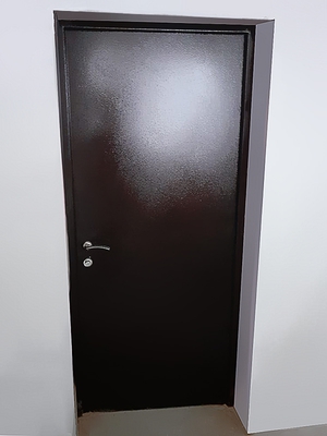 Порошковая дверь с внутренней стороны (производство, г. Зеленоград)