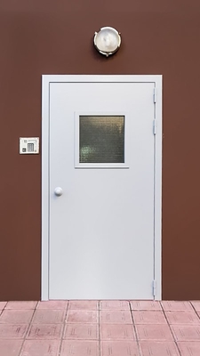 Техническая дверь со стеклом (г. Балашиха)