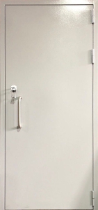 Однопольная техническая дверь с ручкой-скобой — 003